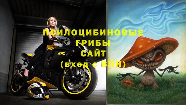прущая мука Вязники