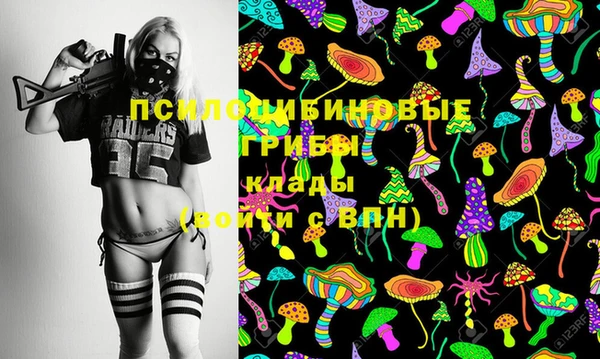 соль ск Вяземский