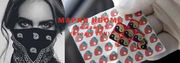 соль ск Вяземский