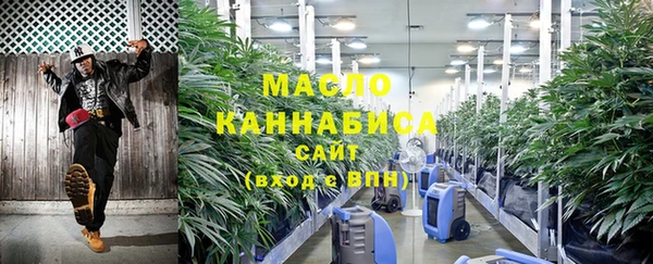 соль ск Вяземский