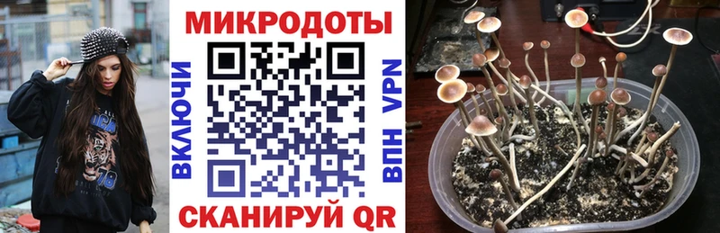 Купить где  Талдом  Галлюциногенные грибы ЛСД 